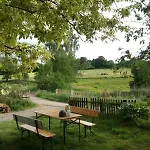 Grosse Auf Pferdehof Mitten In Der
