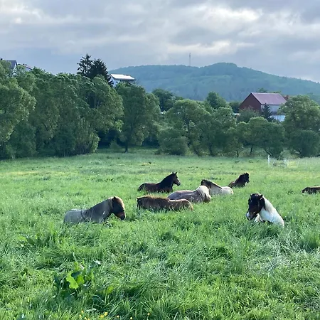 Grosse Auf Pferdehof Mitten In Der * Schwarzenborn