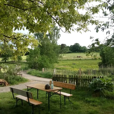 Grosse Auf Pferdehof Mitten In Der