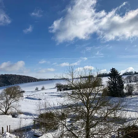 Grosse Auf Pferdehof Mitten In Der アパート *