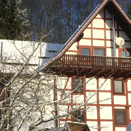 Grosse Auf Pferdehof Mitten In Der Schwarzenborn